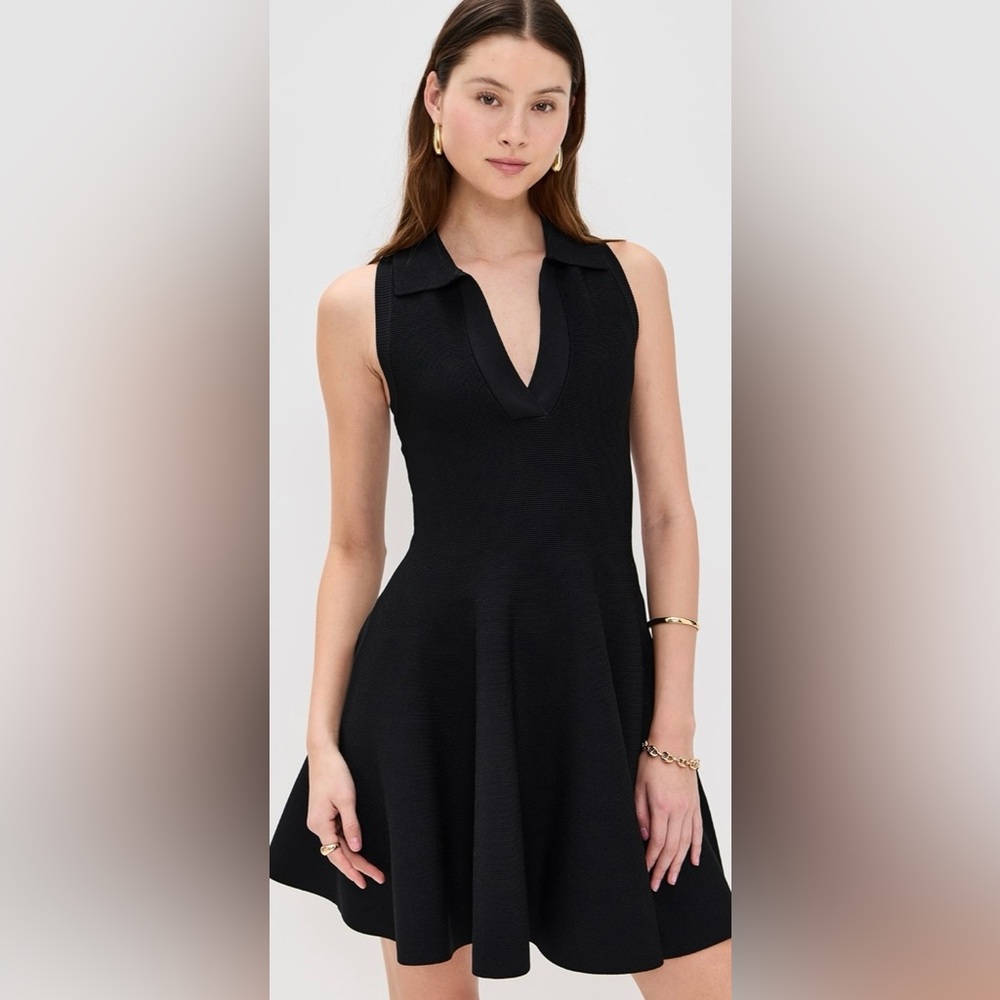 NWOT Cara Cara Braylee Mini Black Polo Collar Fit & Flare Dress